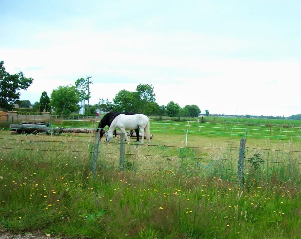 فندق فورسفي  Riverview Country Park المظهر الخارجي الصورة